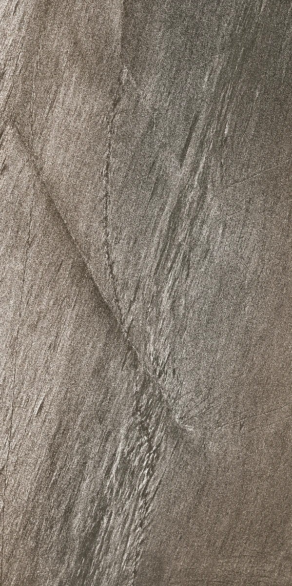 face 31